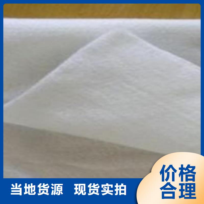 土工布塑料土工格栅专业信赖厂家