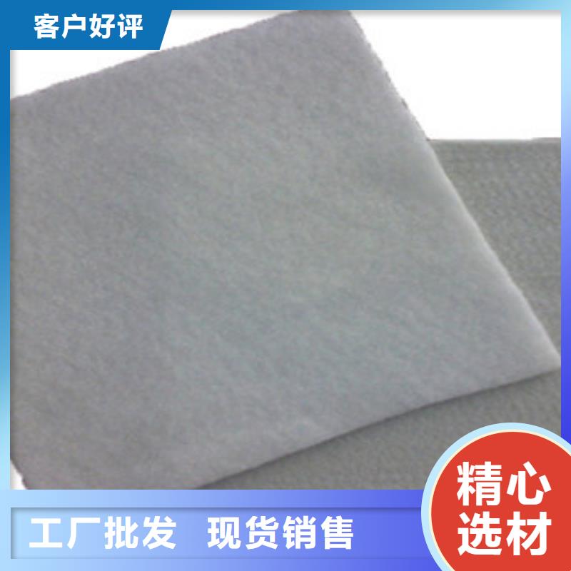 土工布玻纤土工格栅自营品质有保障