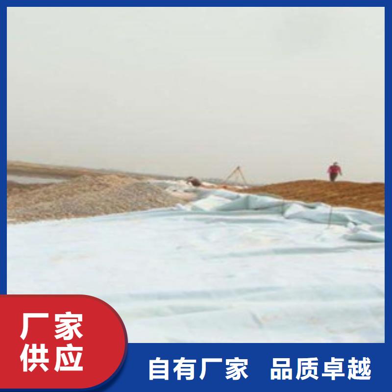 土工布玻纤土工格栅供货及时