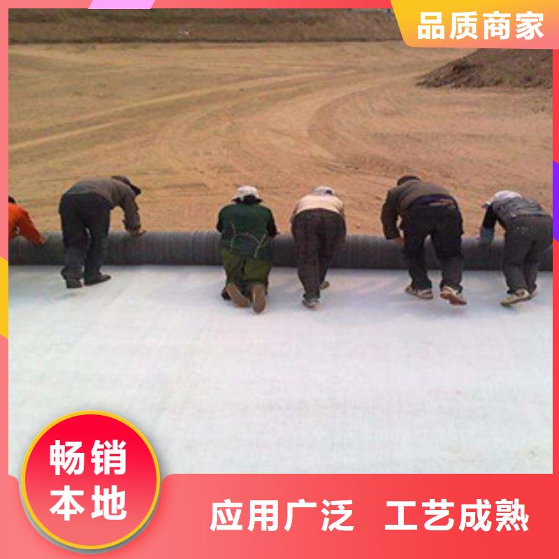 膨润土防水毯玻纤土工格栅支持批发零售
