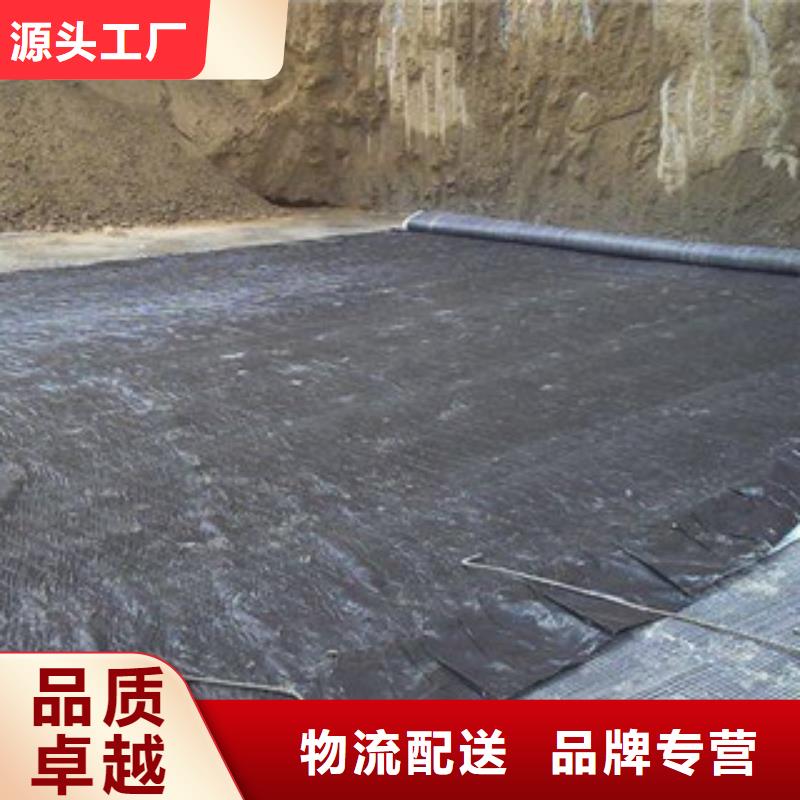 膨润土防水毯-【塑料土工格栅】本地厂家值得信赖|永靖|广河|武威|陇南|定西|天水|张掖|白银|兰州v651.com