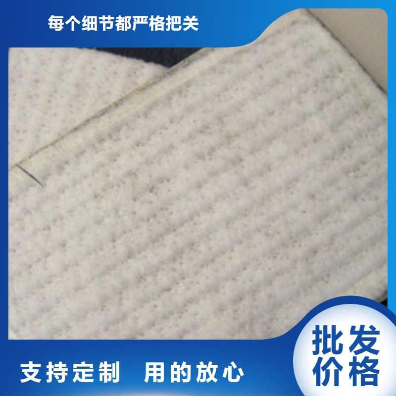 膨润土防水毯三维植被网产地货源