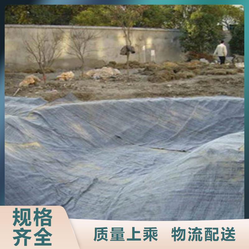 膨润土防水毯三维植被网产地货源