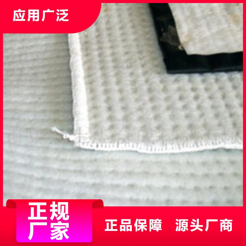 厂家直销售后完善 膨润土防水毯-【塑料土工格栅】本地厂家值得信赖-同城现货采购_产品案例