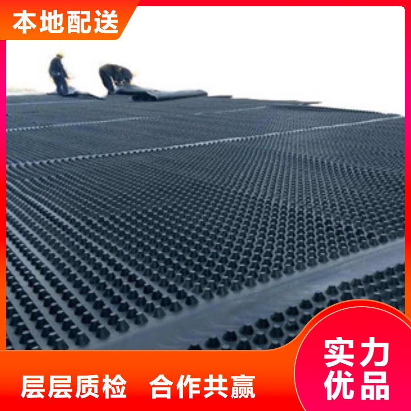 塑料排水板玻纤土工格栅精益求精