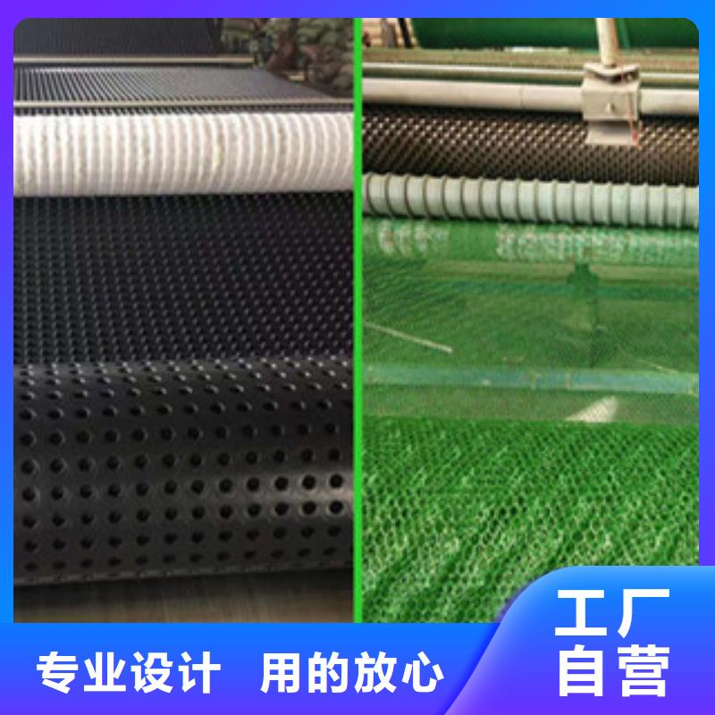 塑料排水板钢塑土工格栅源厂直接供货