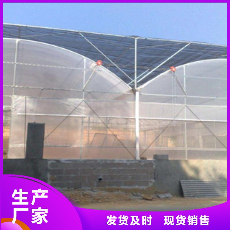 大棚管-无缝钢管欢迎新老客户垂询