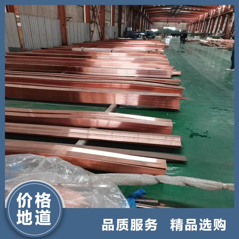 --现货满足大量采购【紫铜排】_镀锡铜绞线厂家直销规格多样