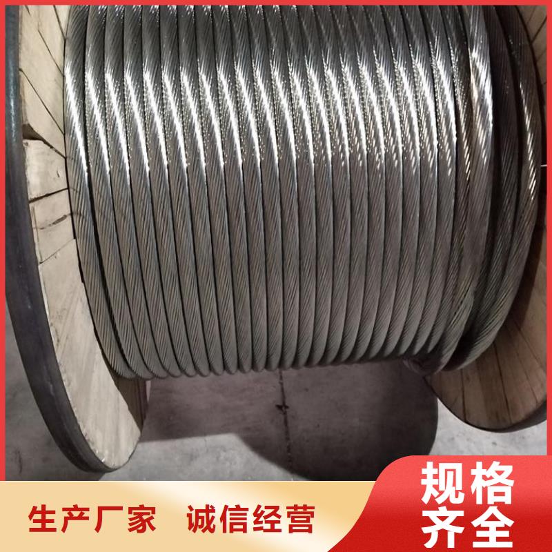 镀锡铜绞线图片源头厂家有现货