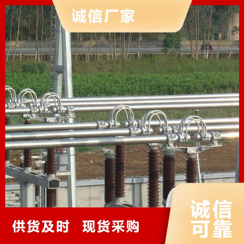 管母线镀锡铜绞线免费询价