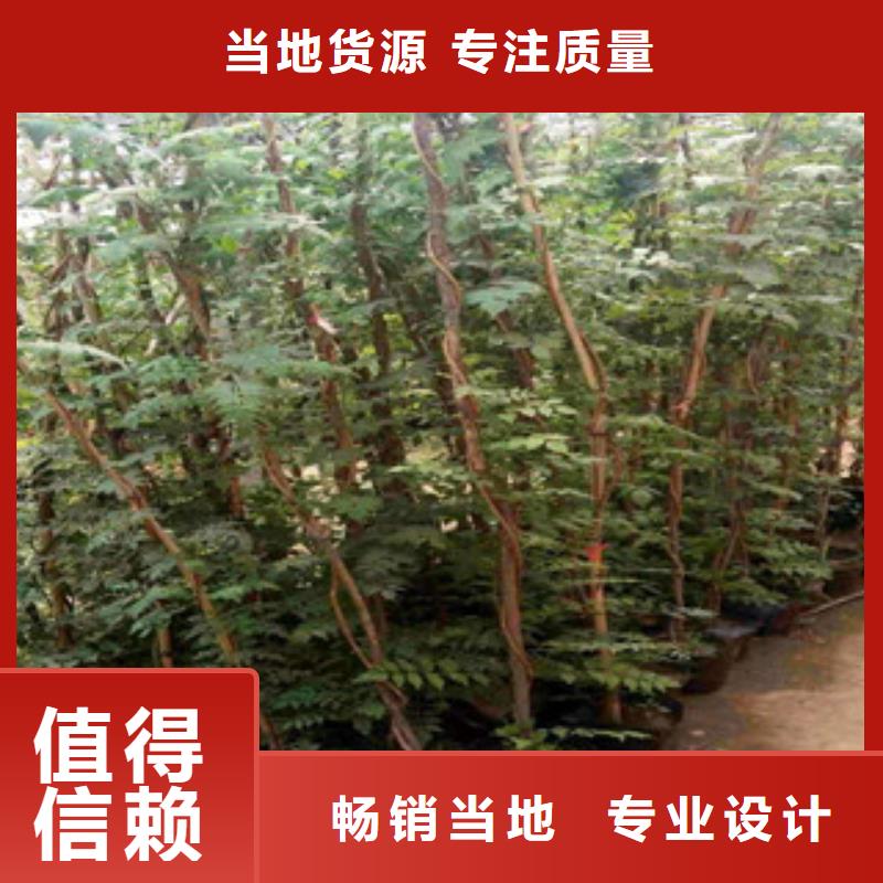 宿根花卉-鲁冰花/粉黛乱子草重信誉厂家