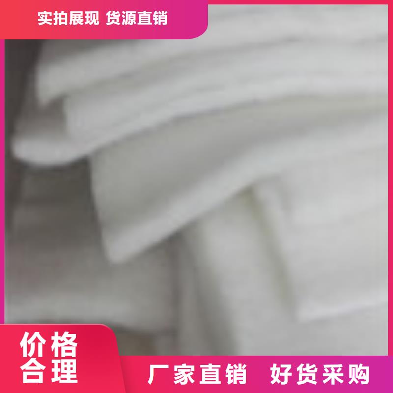 企业旺旺【塑料盲沟管】欢迎来电询价【泰驰】