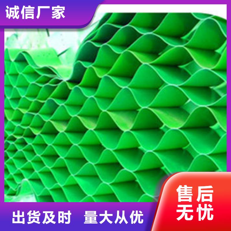  蜂巢格室实地大厂