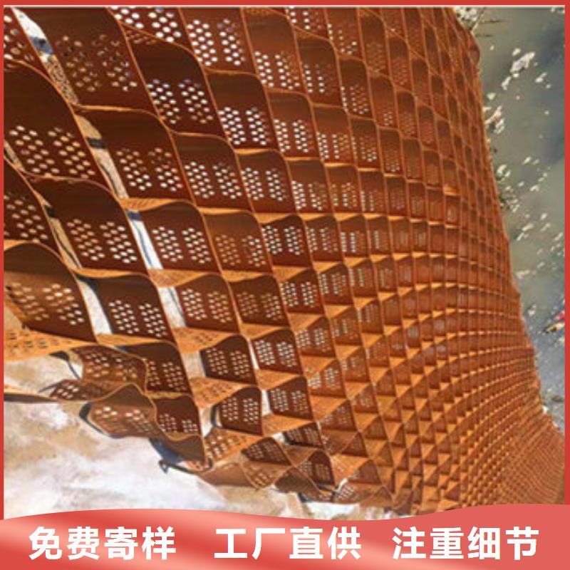 蜂巢格室钢塑格栅种类齐全