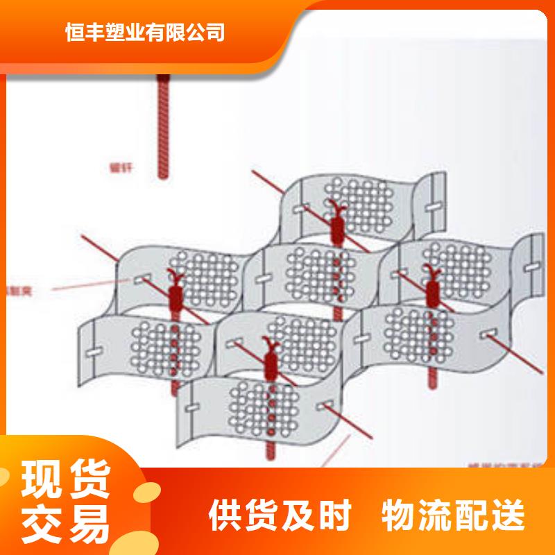 【蜂巢格室双向塑料土工格栅闪电发货】