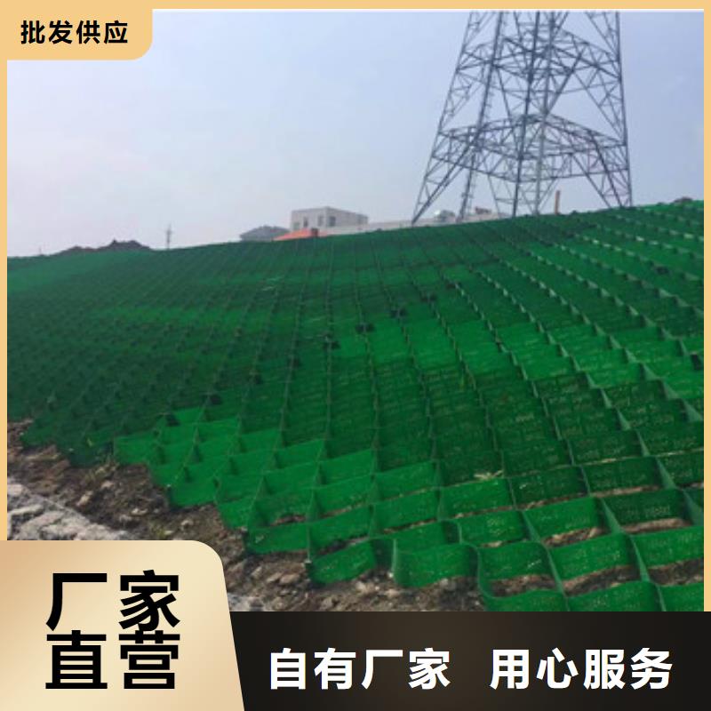 蜂巢格室蜂格网根据要求定制
