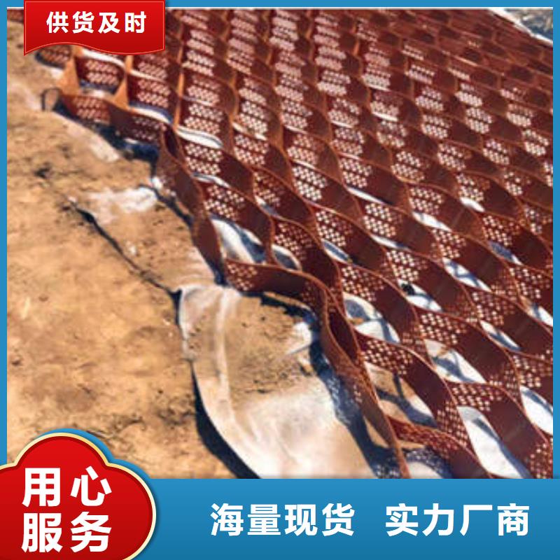  蜂巢格室实力公司