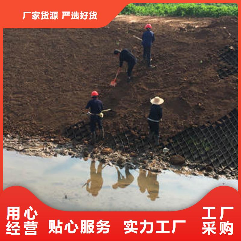  蜂巢格室一手货源