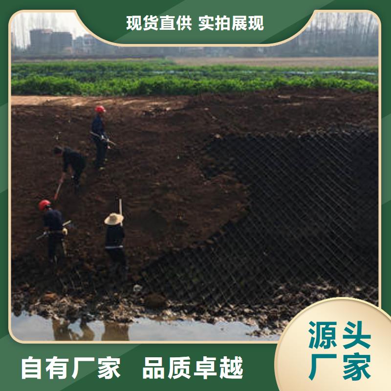 蜂巢格室,透水管厂家直销值得选择