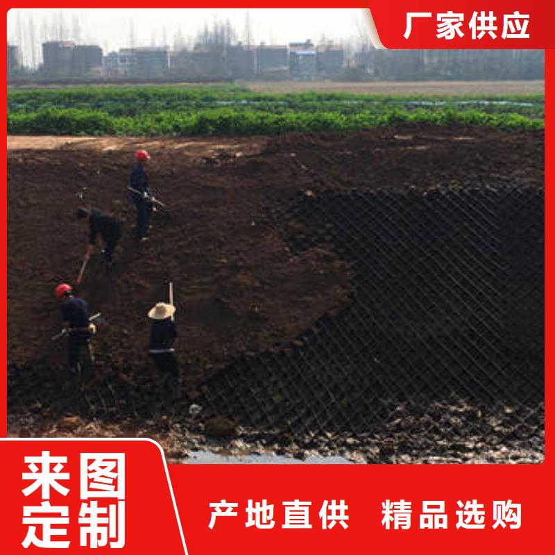 蜂巢格室编织布诚信为本