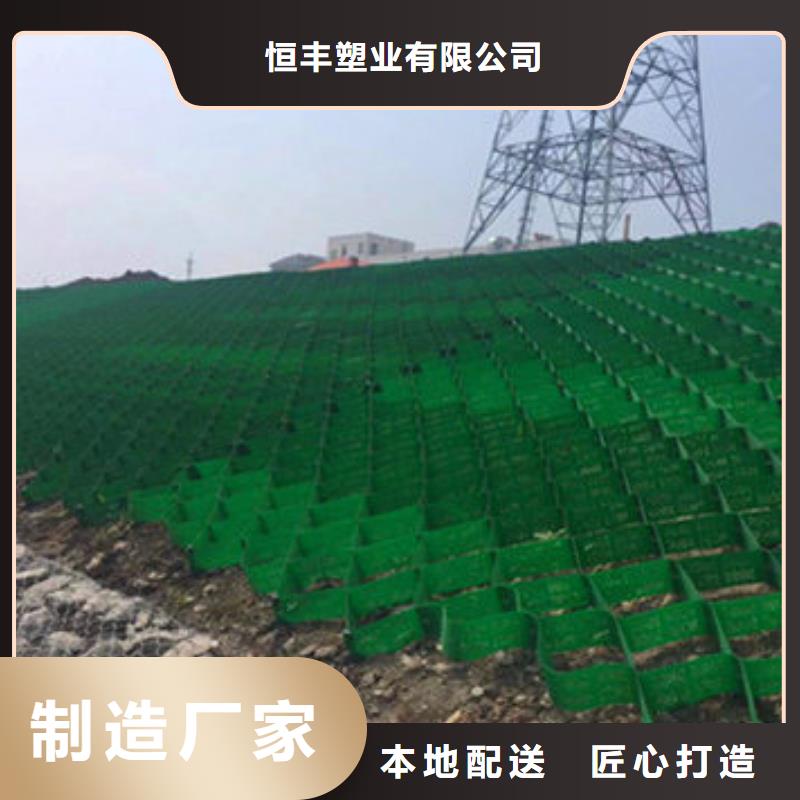 蜂巢格室钢塑土工格栅工艺精细质保长久