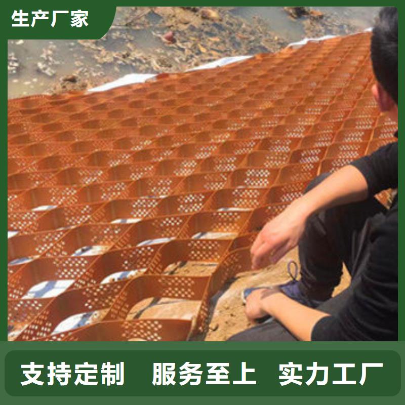 蜂巢格室,橡胶支座符合行业标准