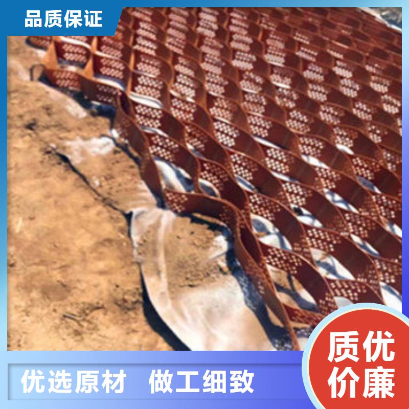【蜂巢格室】-土工格室厂家直销放心