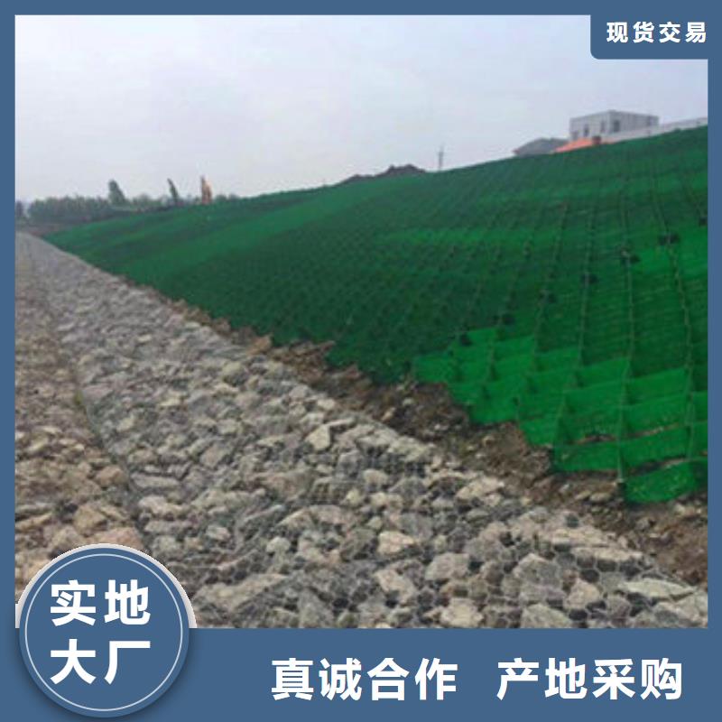 蜂巢格室 蜂格网免费安装