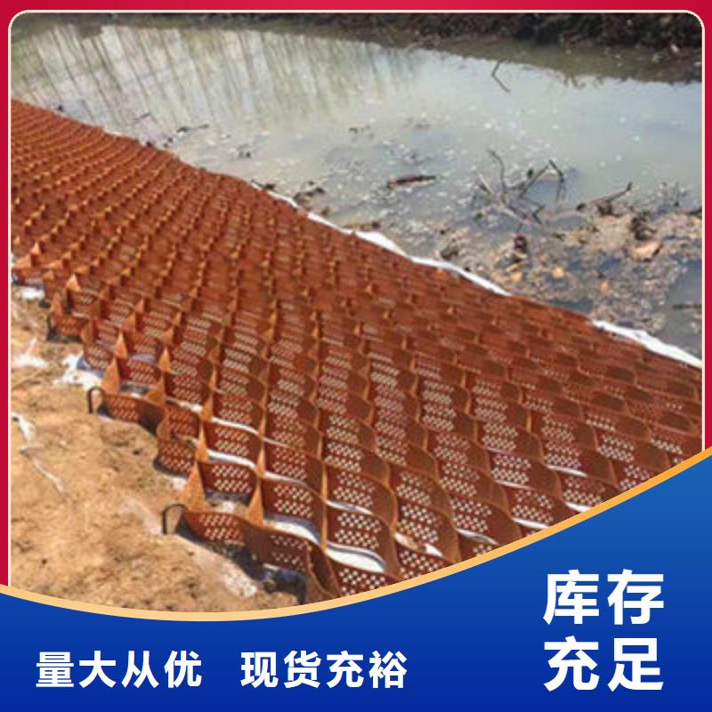 蜂巢格室-土工网垫厂家