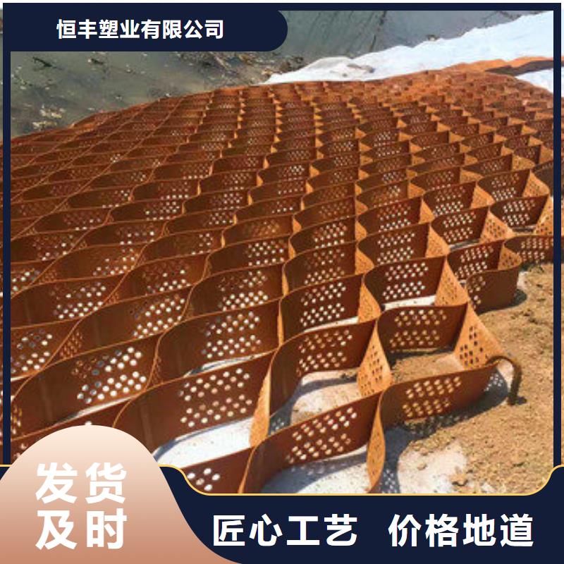 蜂巢格室 双向塑料土工格栅品种全