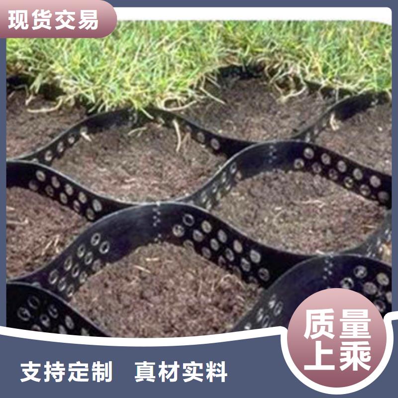 蜂巢格室土工格室多种场景适用