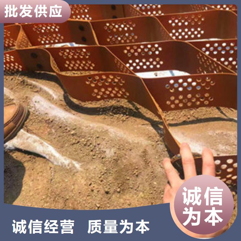 蜂巢格室【蜂格网】用心细节