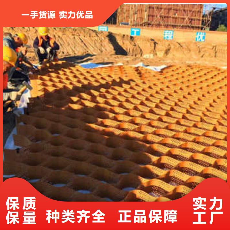 蜂巢格室土工格室大厂家实力看得见