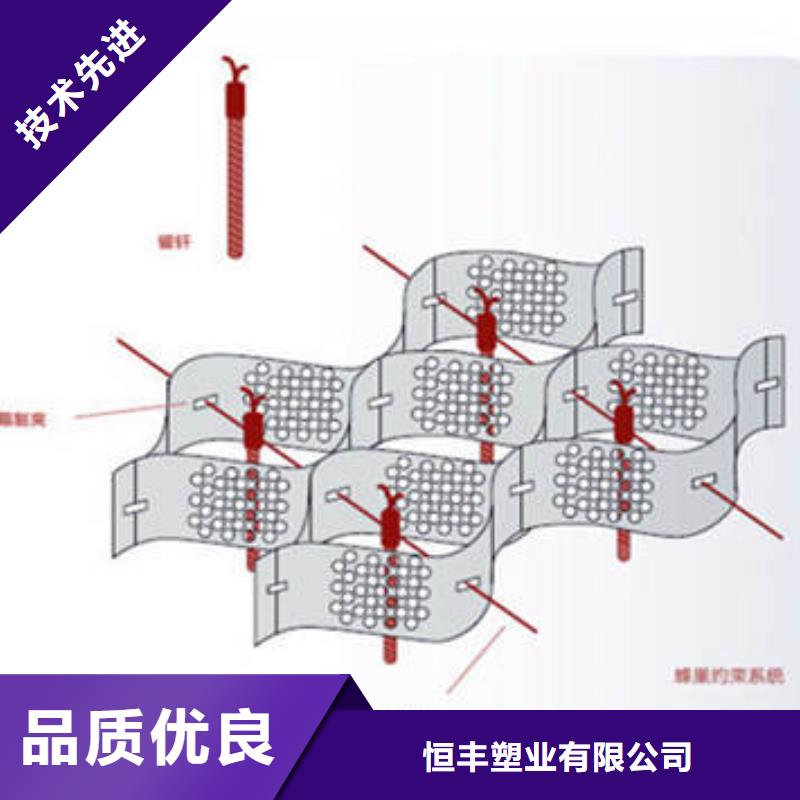 蜂巢格室涤纶格栅经久耐用