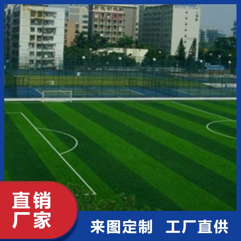 {实力才是硬道理 人造草坪【篮球架】质优价廉}-《昌冠》