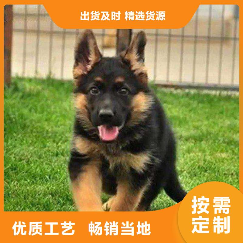 【德国牧羊犬马犬来图来样定制】