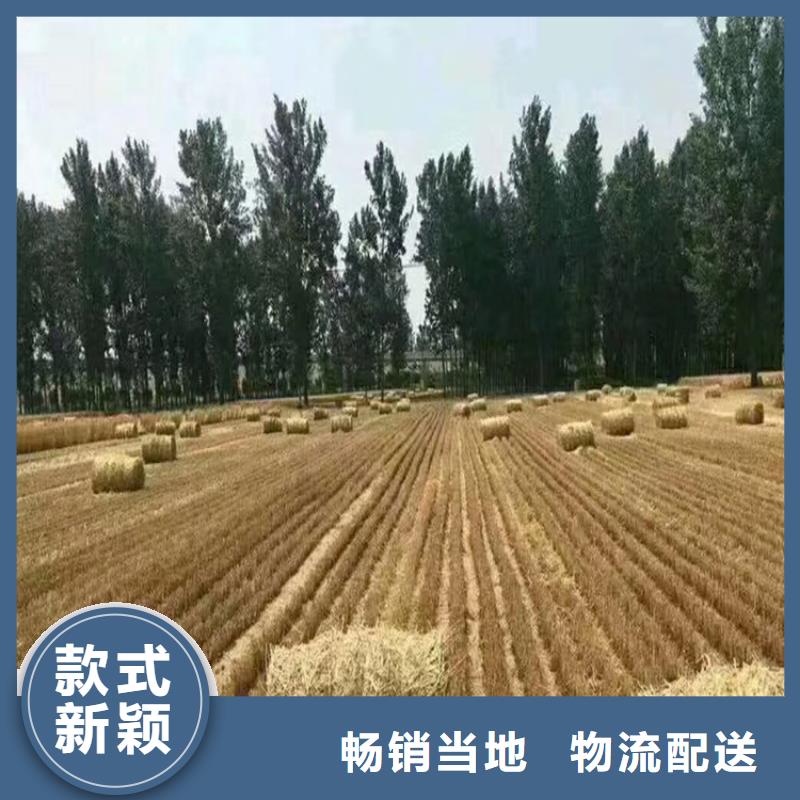发货及时【打捆机】,杜宾犬实力才是硬道理-(v651.com)