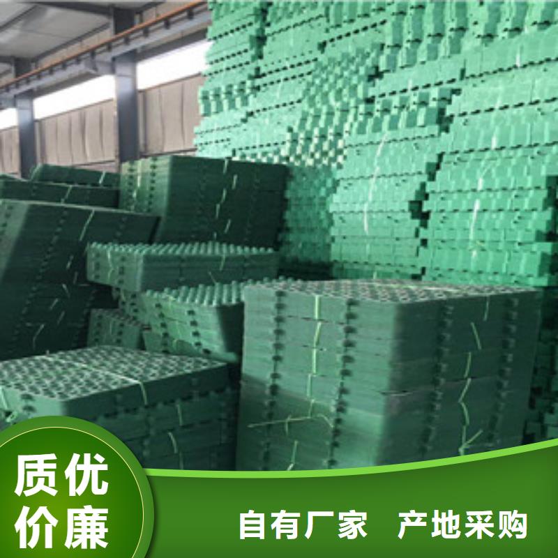 【环保植草格】,蓄排水板厂家以质量求生存-可发货到依安|克山|哈尔滨|鹤岗|绥化|黑河