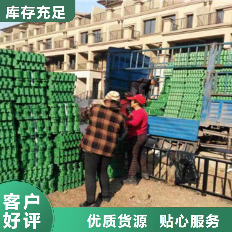 环保植草格土工布厂家专业生产N年