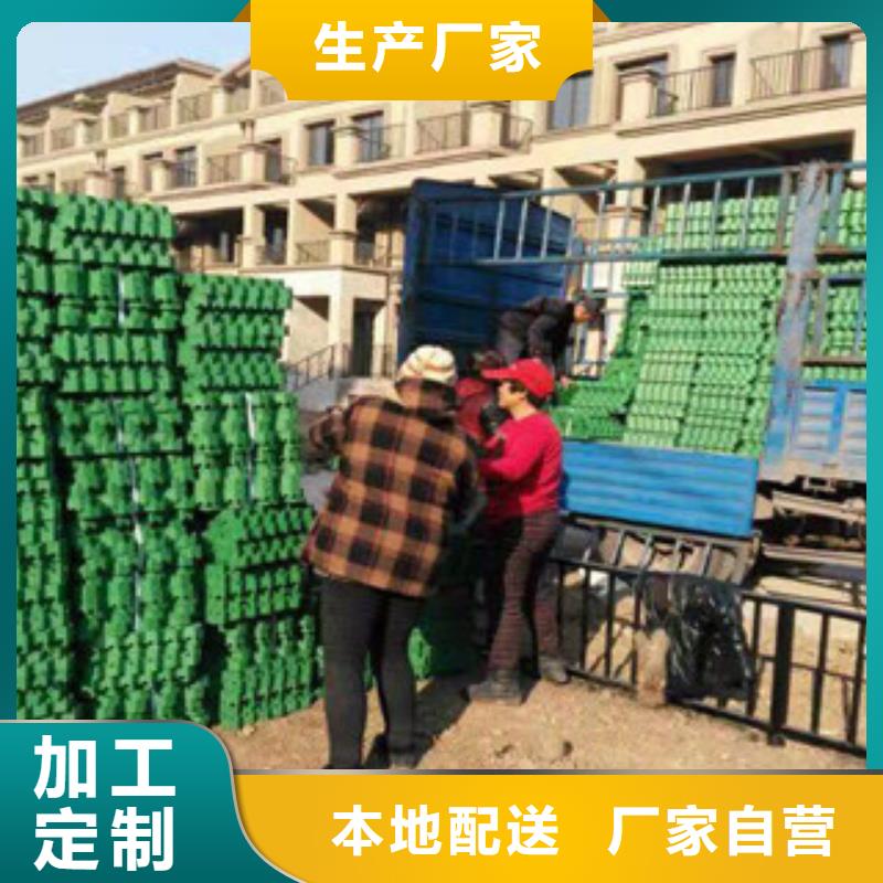 【环保植草格】,蓄排水板厂家以质量求生存-可发货到依安|克山|哈尔滨|鹤岗|绥化|黑河