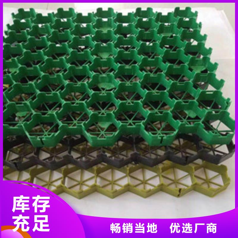 【环保植草格】植草格厂家今日新品