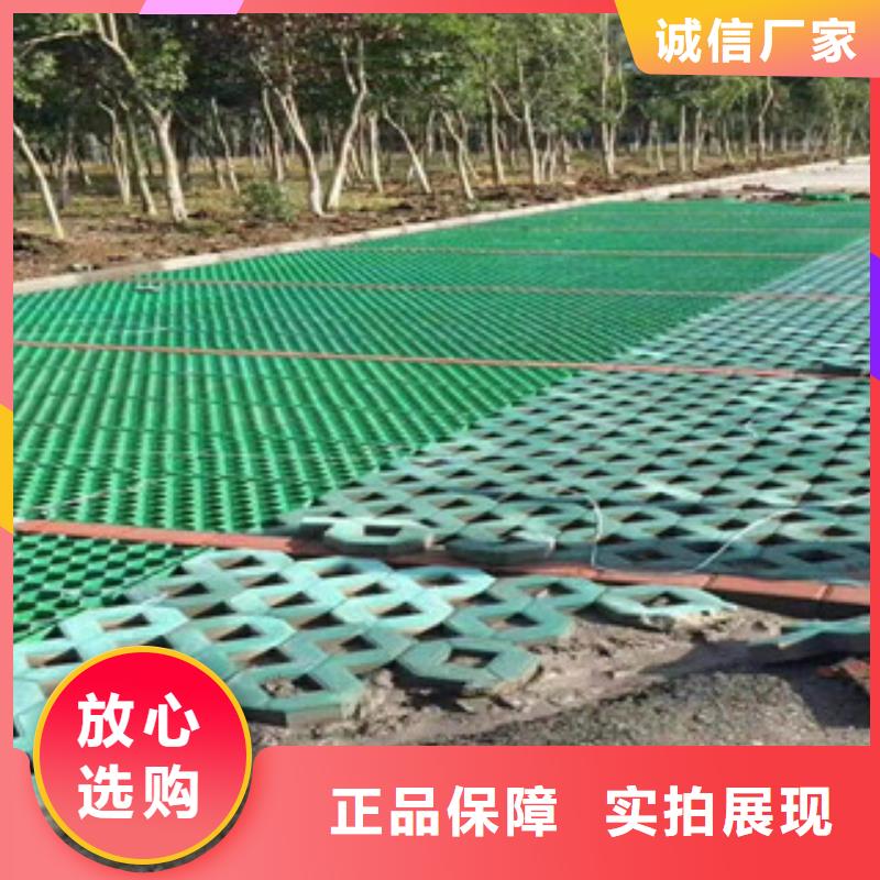 环保植草格【膨润土防水毯厂家】现货充足量大优惠