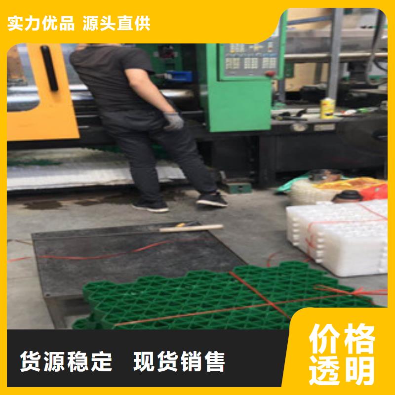 【环保植草格】,蓄排水板厂家以质量求生存-可发货到依安|克山|哈尔滨|鹤岗|绥化|黑河