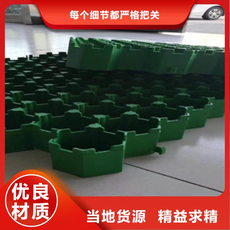 环保植草格土工膜厂家可定制有保障