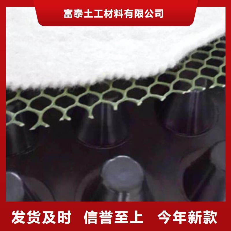 塑料排水板,无纺布厂家源厂供货