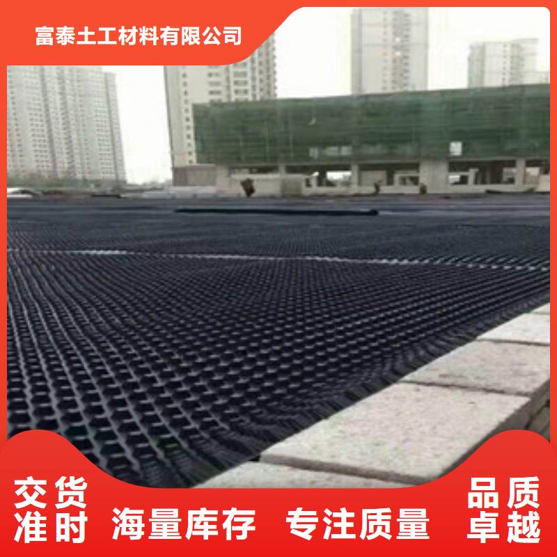 塑料排水板生态袋厂家设计制造销售服务一体