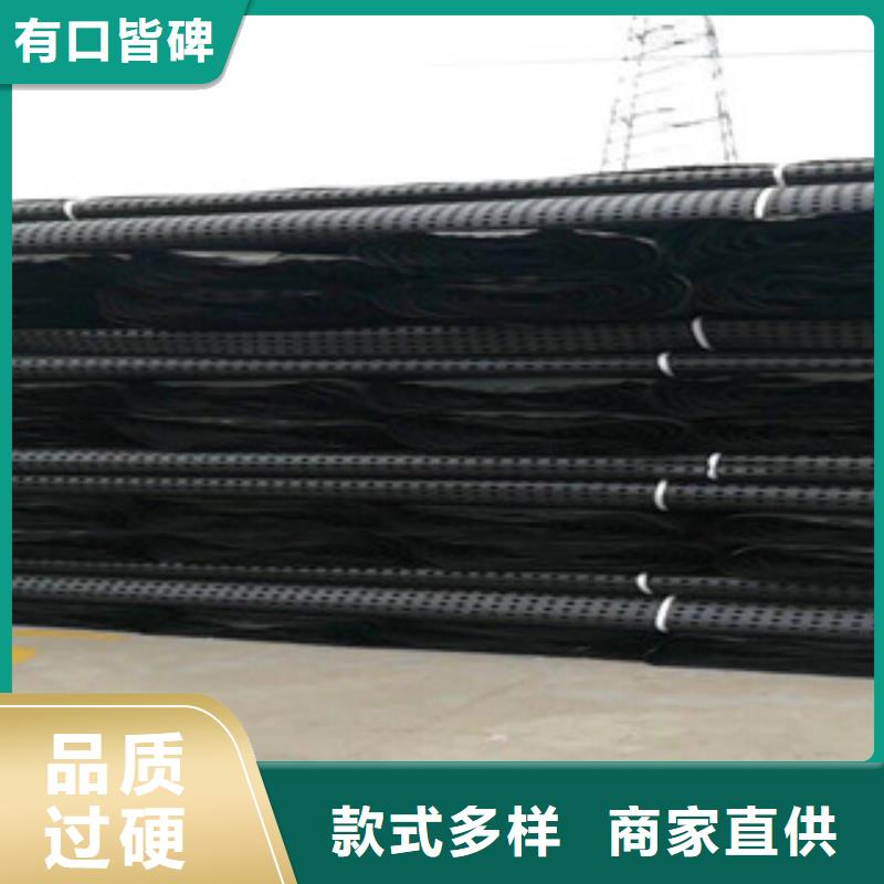塑料排水板蓄排水板厂家专业厂家