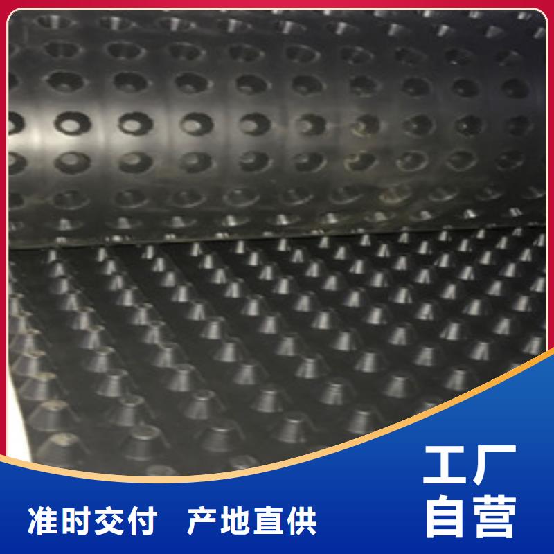 塑料排水板土工布厂家品质做服务