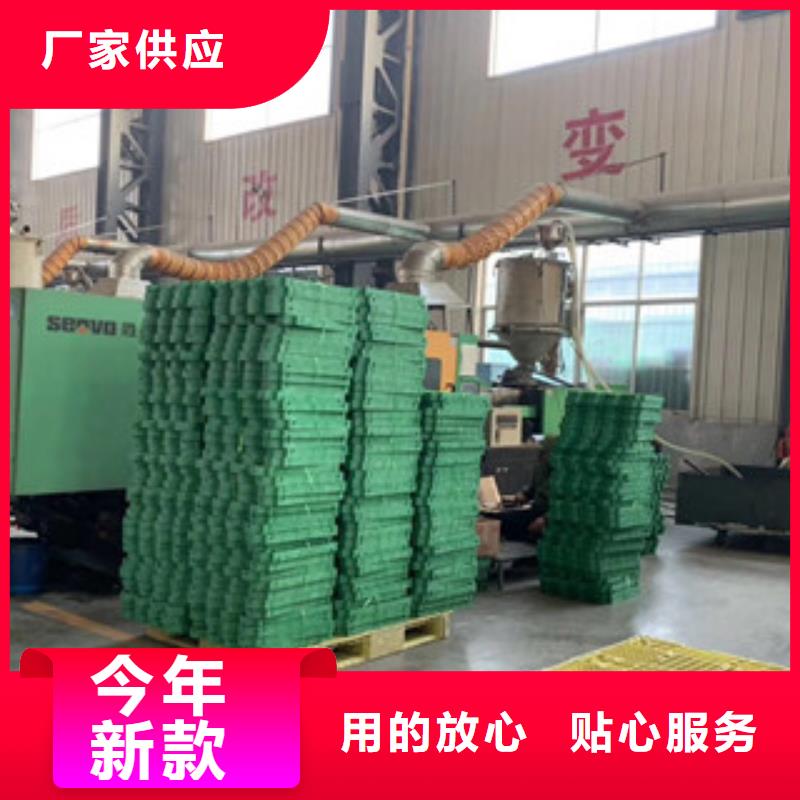 【 植草格,蓄排水板厂家优选厂家】|肥西|肥东|淮南|宿州|安庆|六安|淮北|蚌埠|黄山v651.com