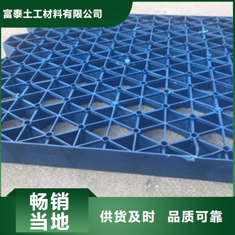 植草格土工布厂家实力商家